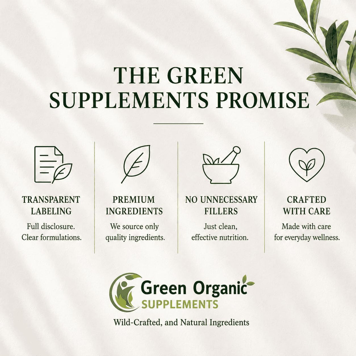 Green Organic Supplements Magnesium L-Threonine 90 Vegetarian Capsules