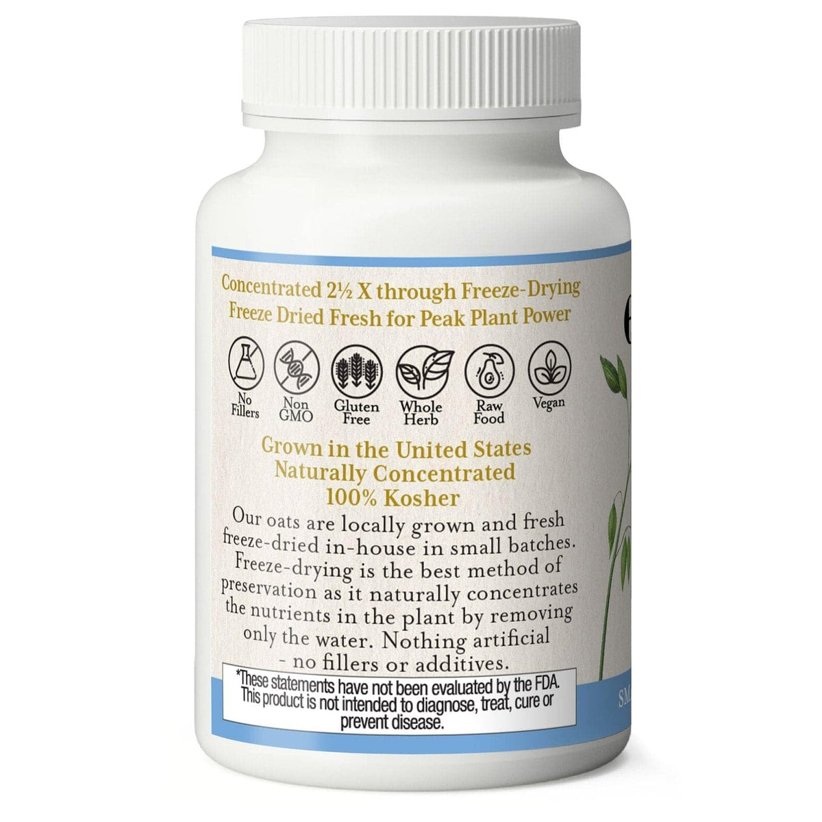 Eclectic Institute Organic Oats Capsules Nervous System Support - 90 Capsules - image 2