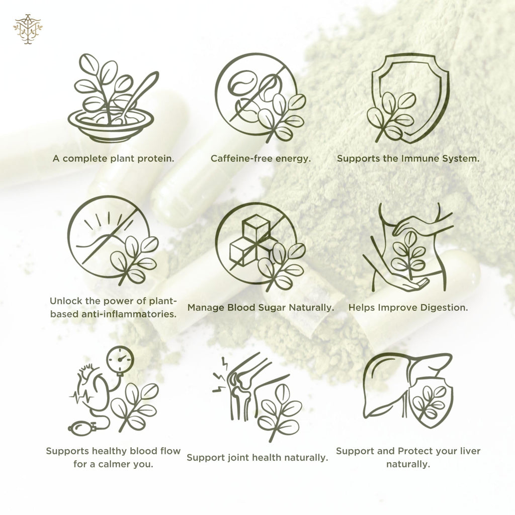 A M Organic Moringa Oleifera Leaf Powder Capsules - 120 Vegetarian Capsules - image 6