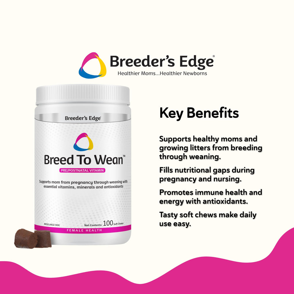 Breeder's Edge Breed to Wean Prenatal Soft Chews for Dogs & Cats - 100ct - image 3