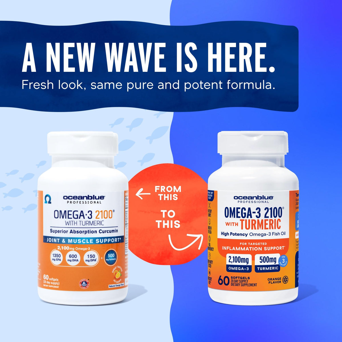 Oceanblue Omega-3 2100 with Turmeric - 60 Softgels - image 4