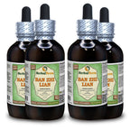 Herbal Terra LLC Ban Zhi Lian, Skullcap (Scutellaria Barbata)