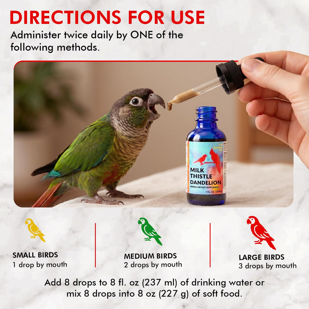 Morning Bird Milk Thistle & Dandelion Extract Liver Support - 1 fl oz - image 4