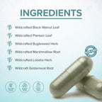 Healthy Day Supplements LYMPHX Immune Support - 100 Capsules - image 6