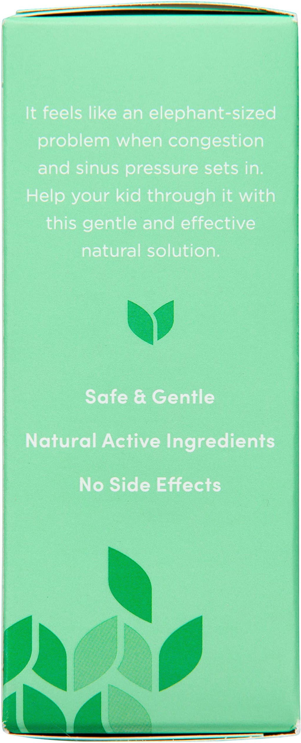 Hyland's Kids Stuffy Nose and Sinus Tablets - 50 Tablets - image 10