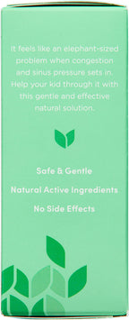 Hyland's Kids Stuffy Nose and Sinus Tablets - 50 Tablets - image 10