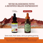 Herbs Etc. ImmunoBoost Classic Liquid Extract - 1 fl oz - image 2