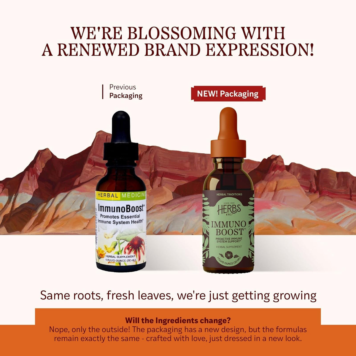 Herbs Etc. ImmunoBoost Classic Liquid Extract - 1 fl oz - image 2