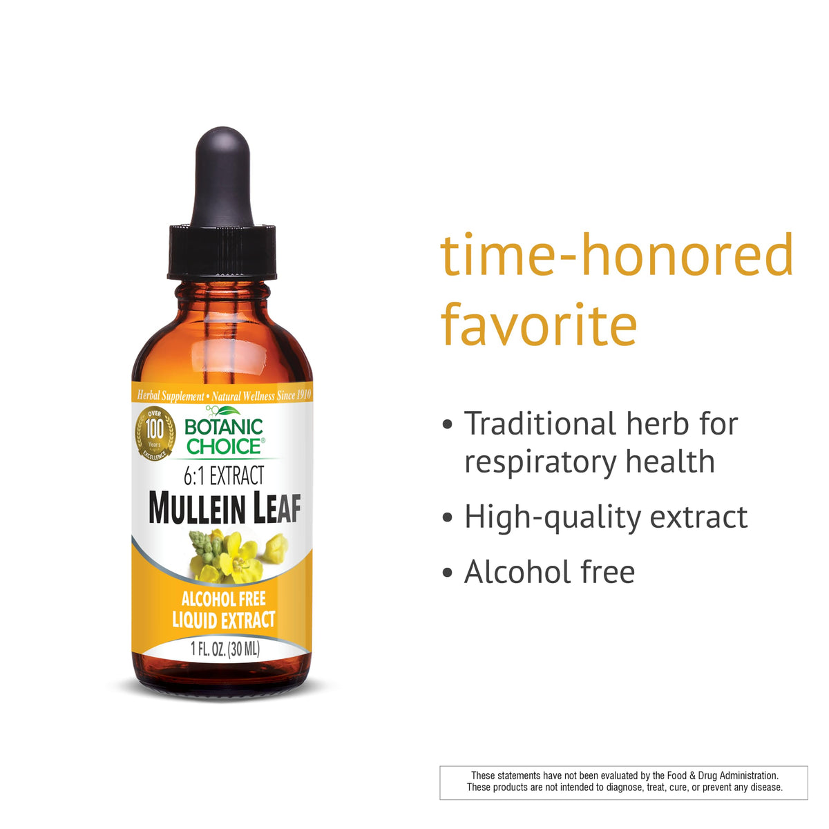 Botanic Choice Mullein Leaf Liquid Extract Alcohol Free - 1 fl oz - image 4