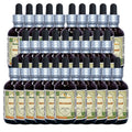 Herbal Terra LLC Knotgrass (Polygonum aviculare) Tincture
