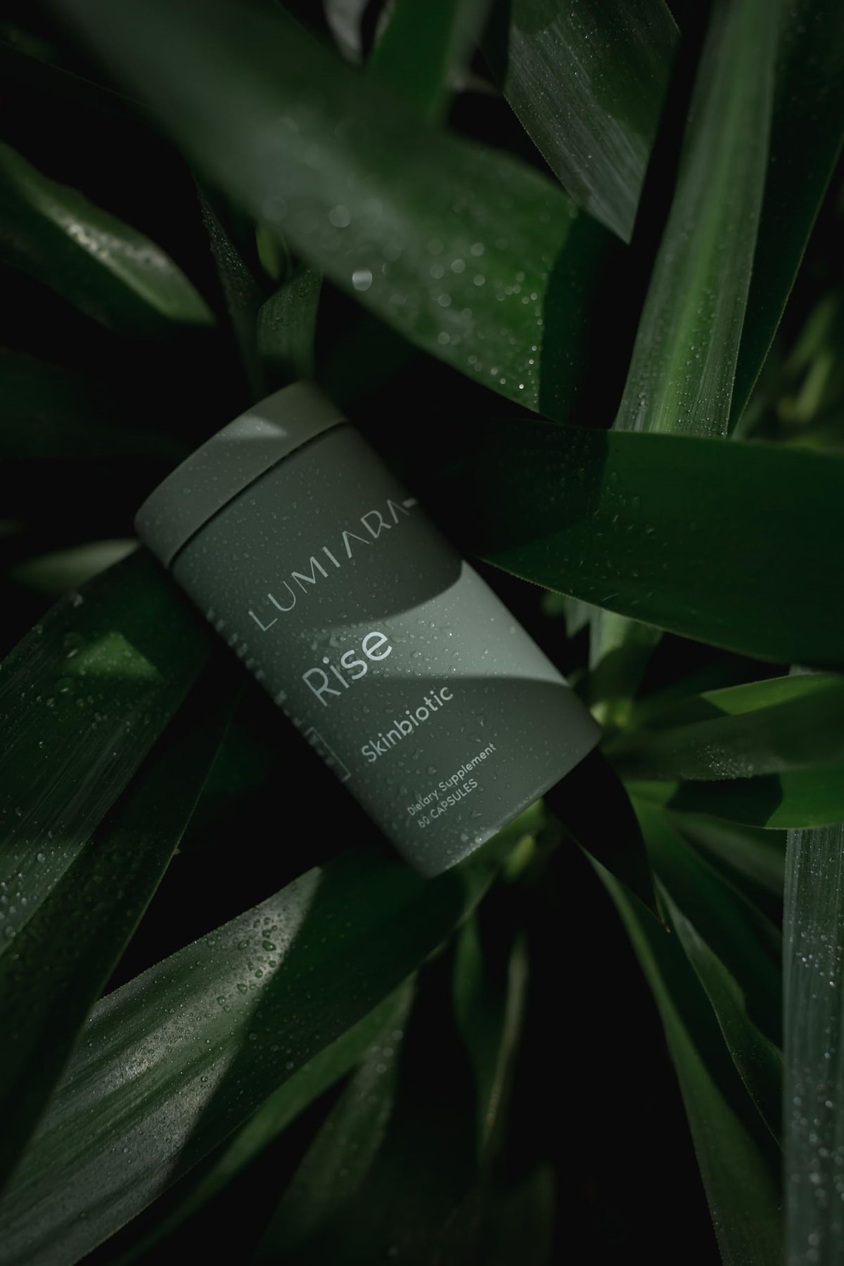 Lumiara Rise Skinbiotic Plant-Based Collagen Booster - 60 Capsules - image 2