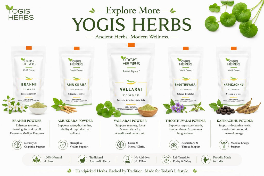 YOGIS HERBS Vallarai Powder Centella Asiatica for Cognitive Wellness - 16 oz - image 7