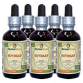 Herbal Terra LLC Soybean (Glycine Max) Tincture