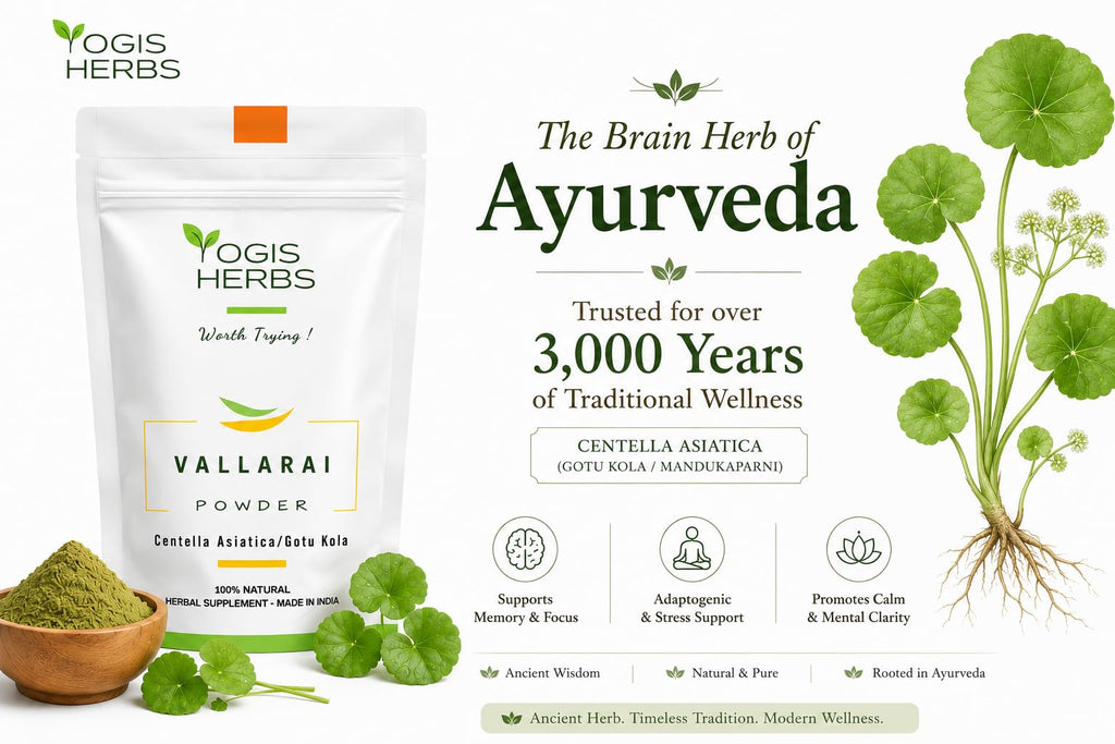YOGIS HERBS Vallarai Powder Centella Asiatica for Cognitive Wellness - 16 oz - image 6
