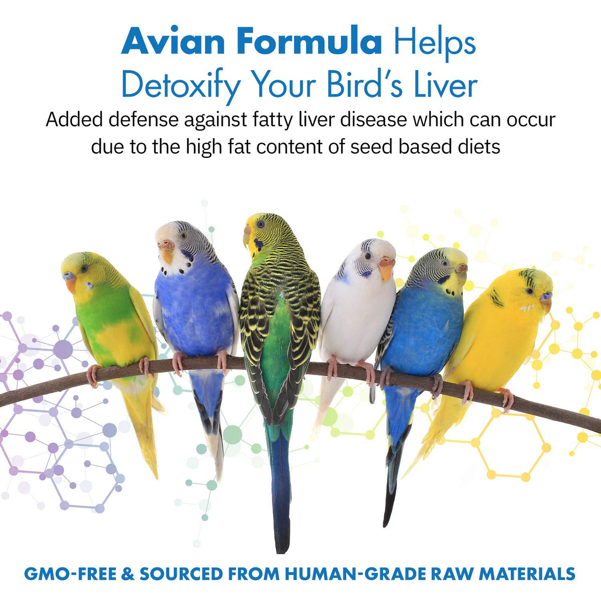 Equa Holistics Avian Milk Thistle + Dandelion Root Liver Support - 120 Servings - image 2