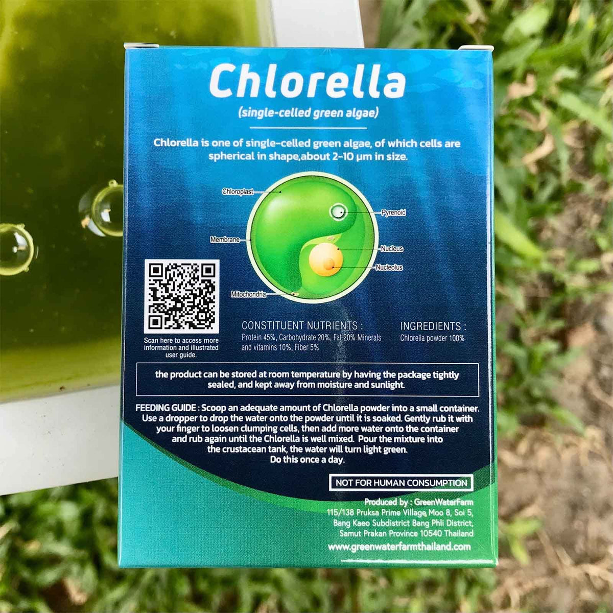 GREEN WATER FARM Concentrated Chlorella Powder - 1.06 oz - image 2