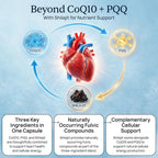 Simple Promise CardioClear7 - Coq10 PQQ Heart Supplement - Shilajit