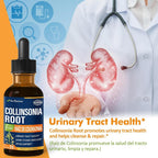 Nurbetoxa Collinsonia Stone Root Drops for Urinary Tract Health - 2 Fl Oz - image 2