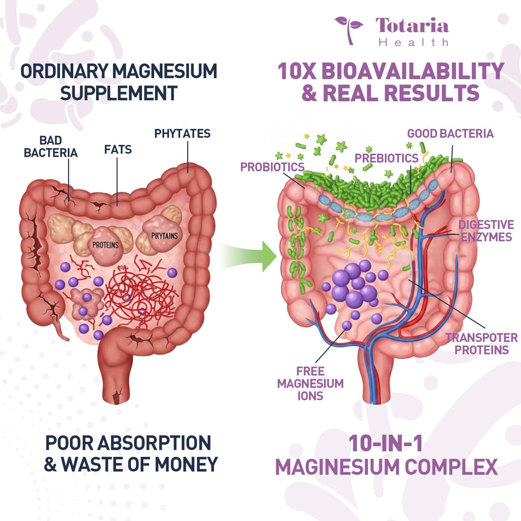 Totaria 10-in-1 Magnesium Complex with Probiotics - 100 Capsules - image 6