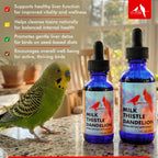 Morning Bird Milk Thistle & Dandelion Extract Liver Support - 1 fl oz - image 5