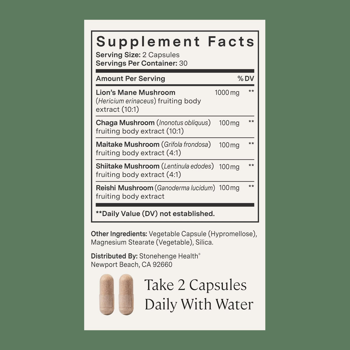 Stonehenge Health Dynamic Mushrooms Lions Mane Brain Support - 60 Capsules - image 4