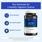 Gundry MD Lectin Shield Gut Health & Digestion Supplement - 120 Capsules - image 5