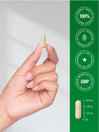 Horbäach Marshmallow Root Capsules - 120 Count - image 7