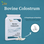 Ved Bovine Colostrum 500 mg - 90 Capsules - image 5