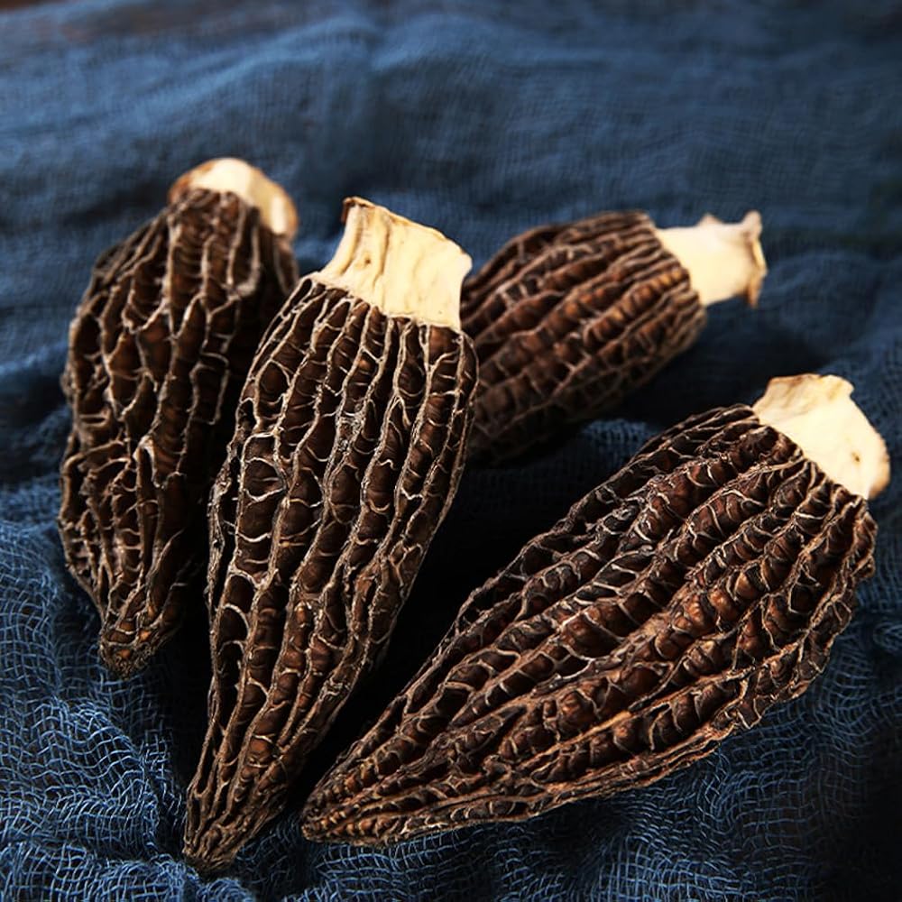 CHLYAET Dried Morchella Morels Mushroom Yangdujun