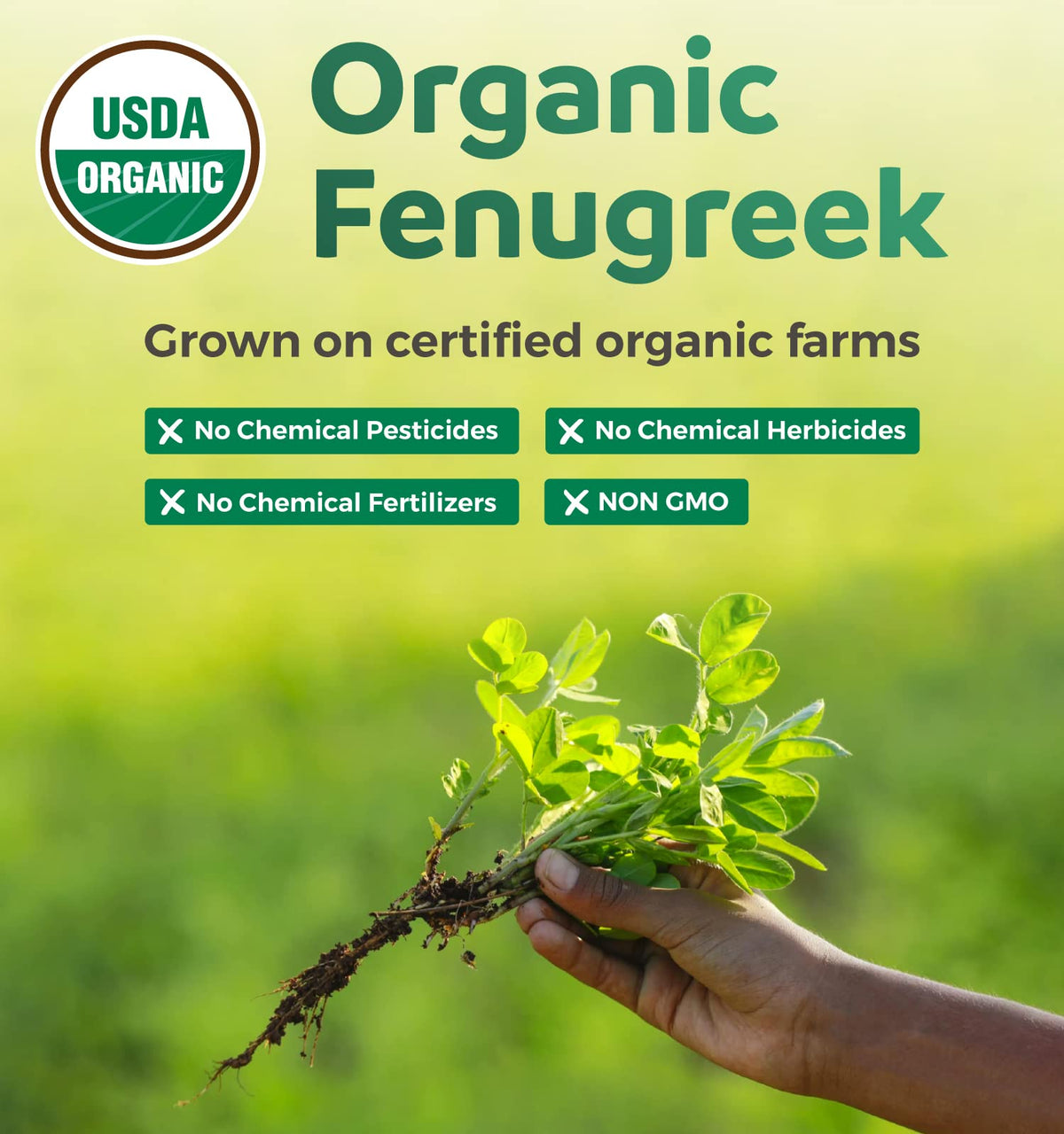 PURE CO Organic Fenugreek Capsules for Lactation Support - 60 Vegan Capsules - image 4