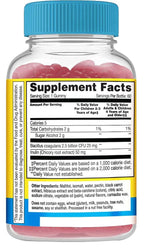 WellYeah Kids Probiotic Gummies with Prebiotic Fiber Sugar Free - image 2