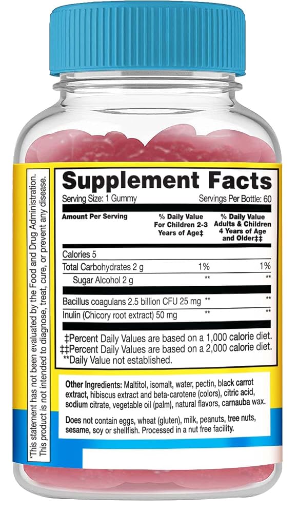 WellYeah Kids Probiotic Gummies with Prebiotic Fiber Sugar Free - image 2