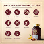 Vasu Sea Moss Capsules for Stamina & Strength - 100 Count - image 6