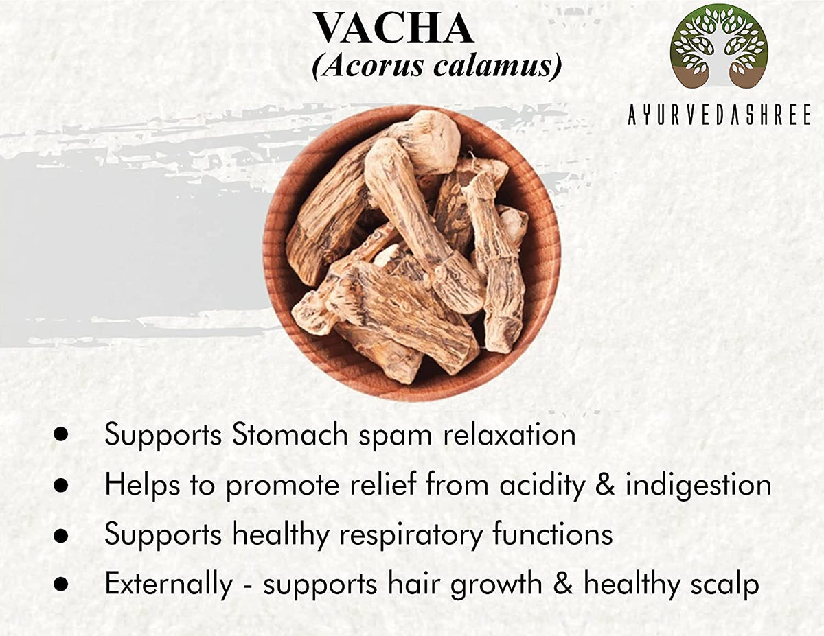 AYURVEDASHREE Calamus Powder Vacha Root - 200g - image 2