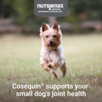 Nutramax Cosequin for Small Dogs Joint Health Soft Chews - 45 Count - image 3