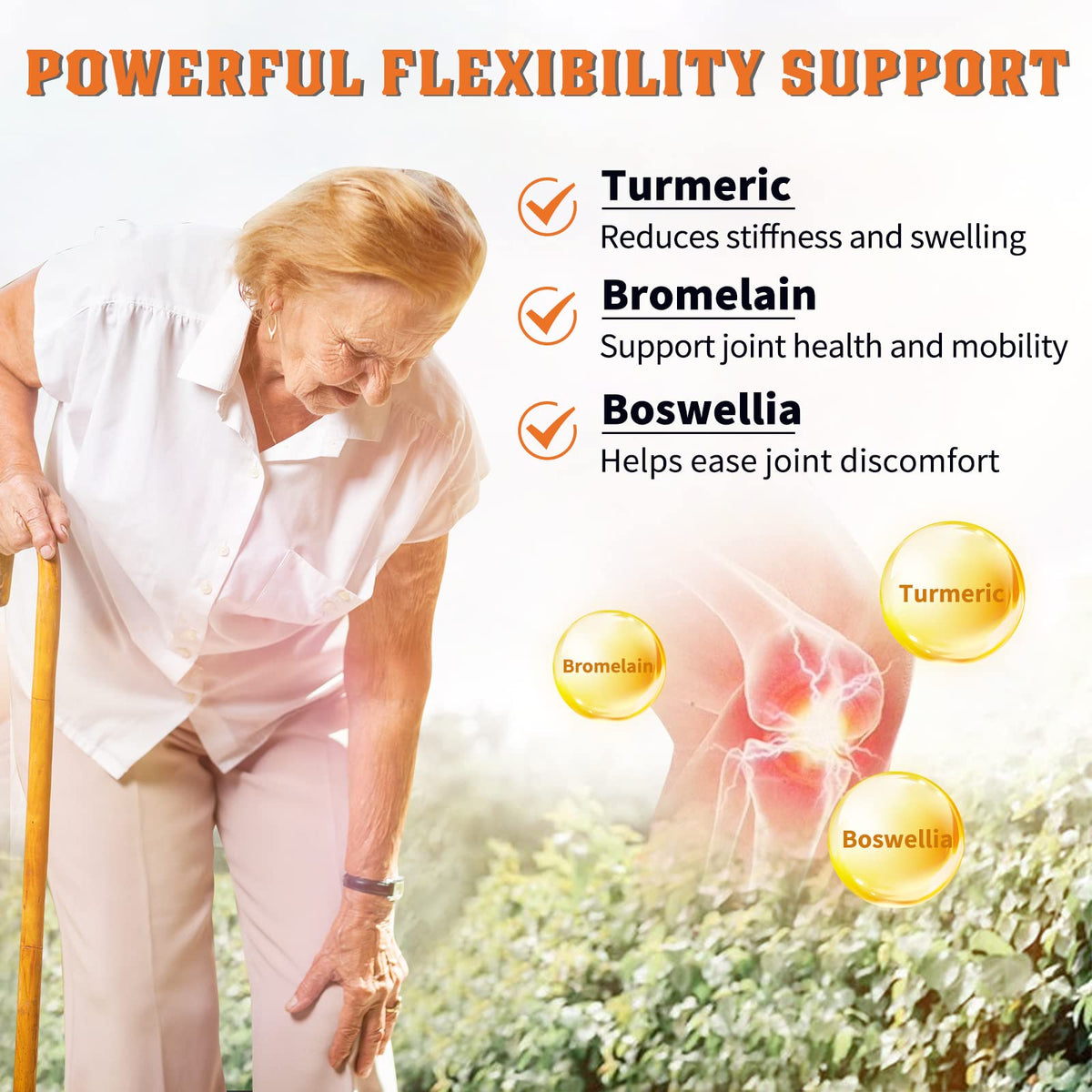NATURE TARGET Glucosamine Chondroitin MSM Joint Support - 120 Capsules - image 3
