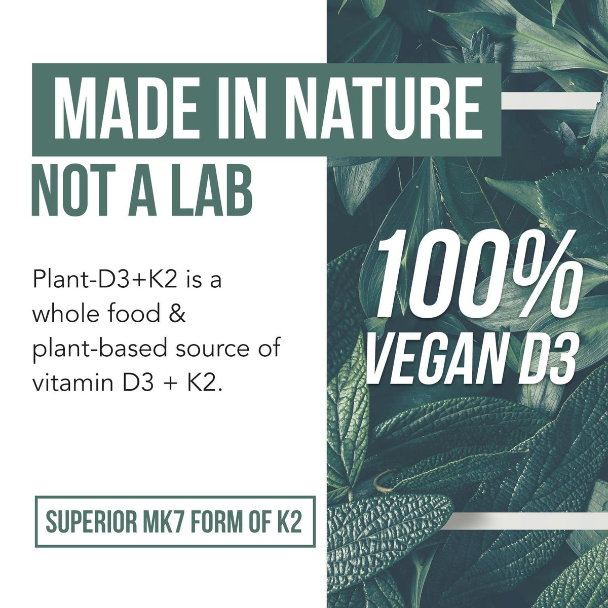 Triquetra Health Organic Plant D3 + K2 (5000 iu D3) - All-Trans MK7