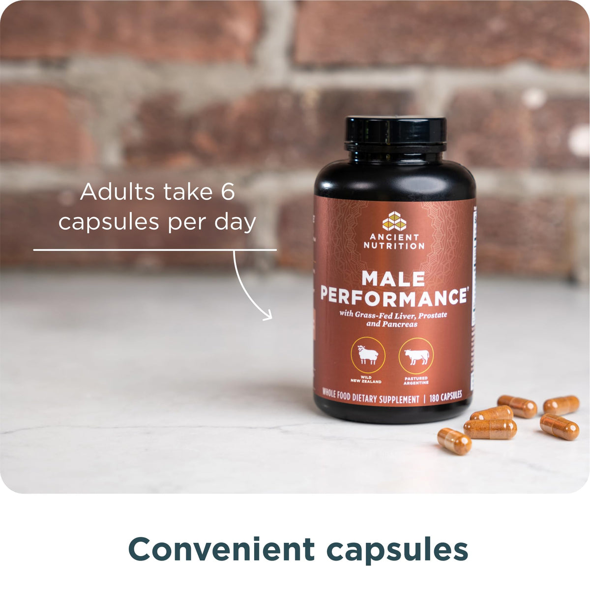 Organ Supplements by Ancient Nutrition