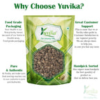 Yuvika Mushk Dana Ambrette Seeds - 400 Grams - image 3