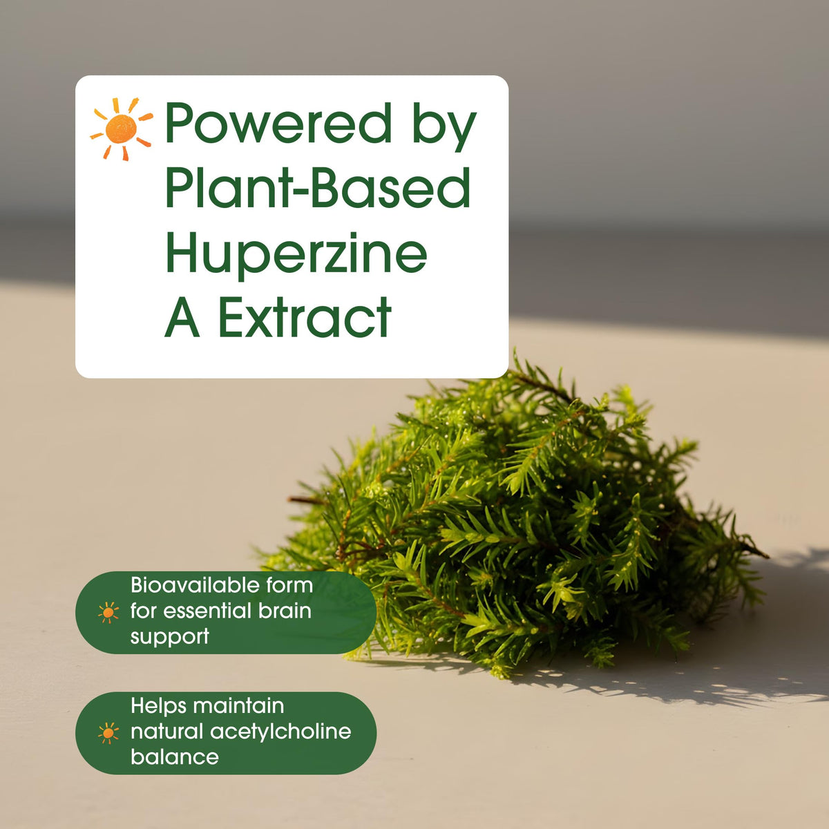 NatureBell Huperzine A 400mcg Brain Support - 240 Capsules - image 6