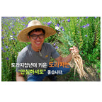 Sanmaeul Korean Pear Platycodon Extract Ginger Concentrate - 30 Sticks - image 5