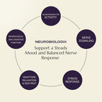 Neurobiologix Neuro Calm & Rebalance L-Theanine - 90 Capsules - image 8