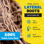 Fiji Vanua Kava Loloma Waka Root Powder Medium Grind - 1 lb - image 3