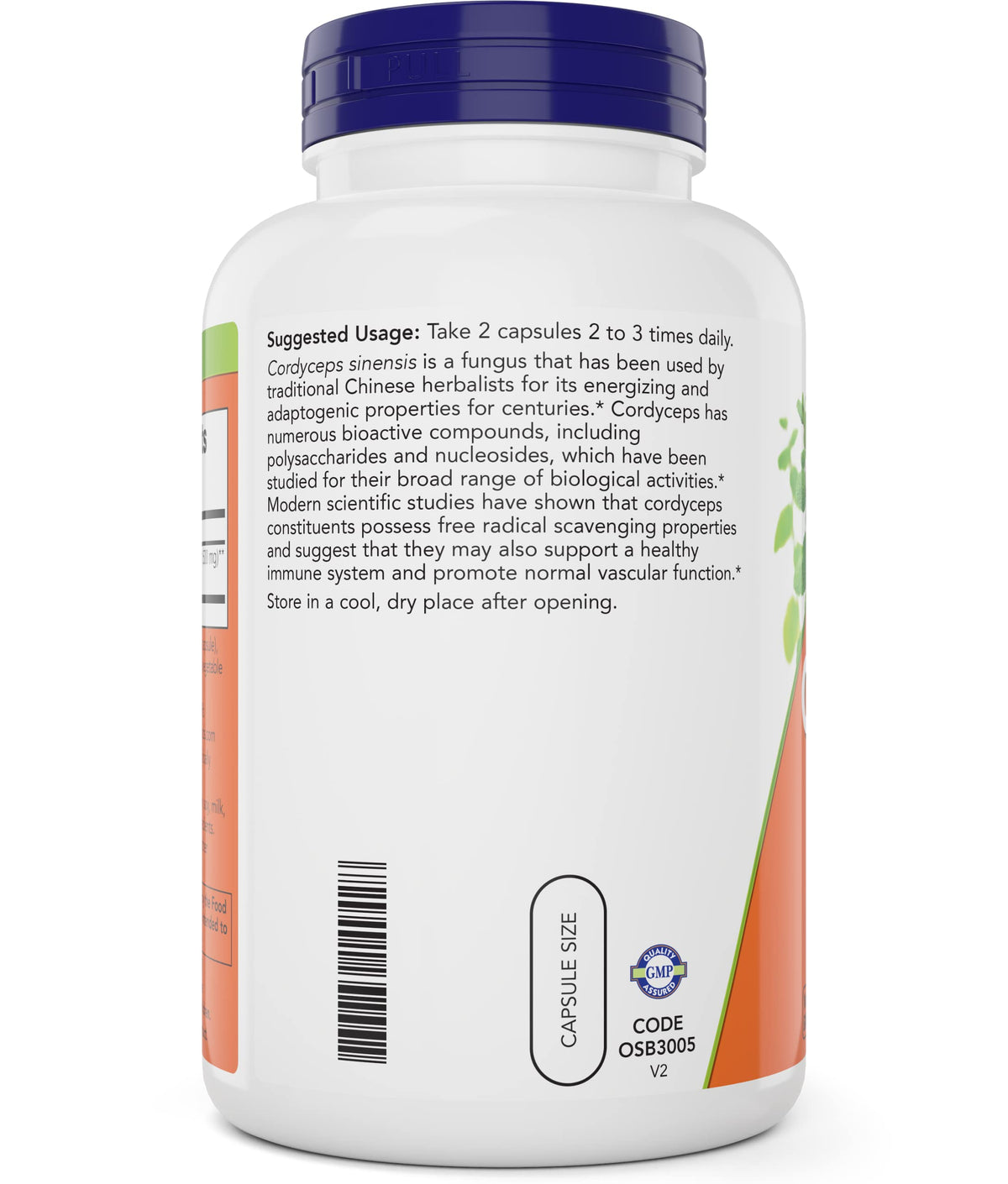 NOW Foods Cordyceps 750mg - 200 Vegetarian Capsules - image 3