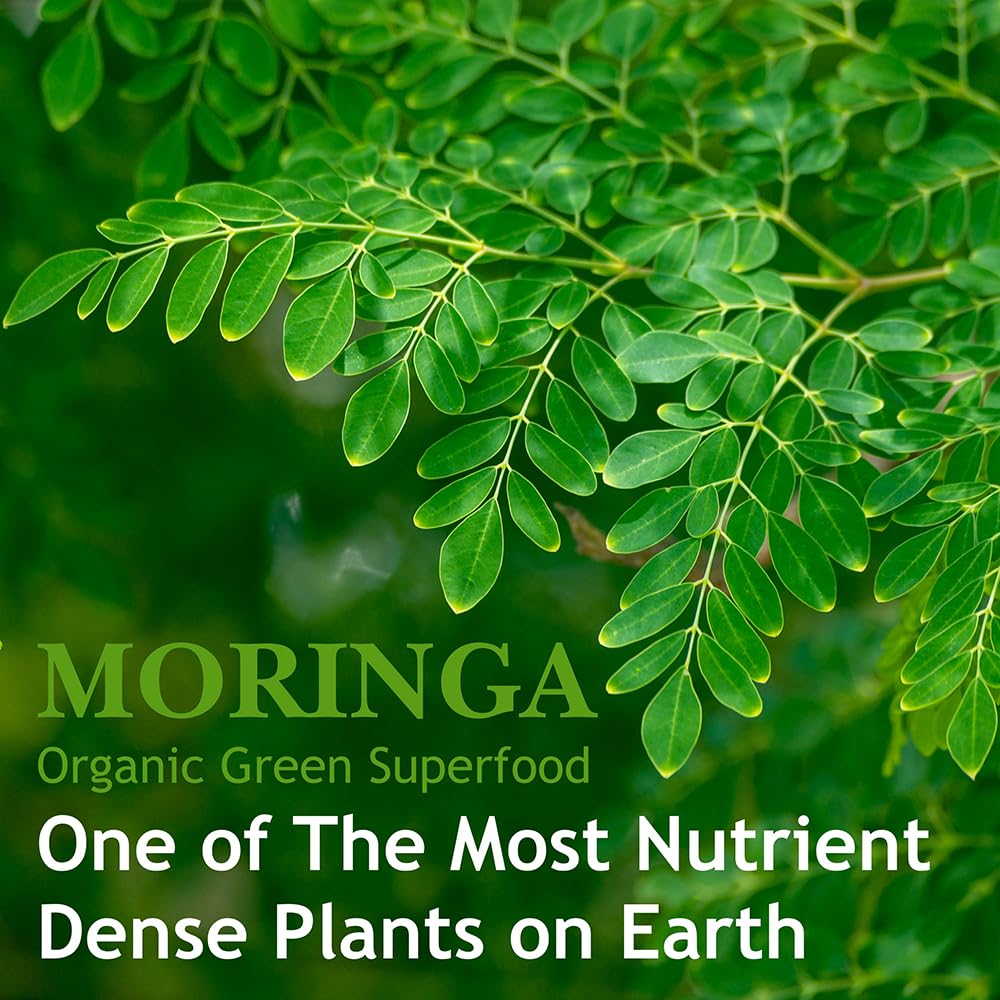 Hebhac Herbs Organic Moringa Capsules Immune Support - 120 Capsules - image 5