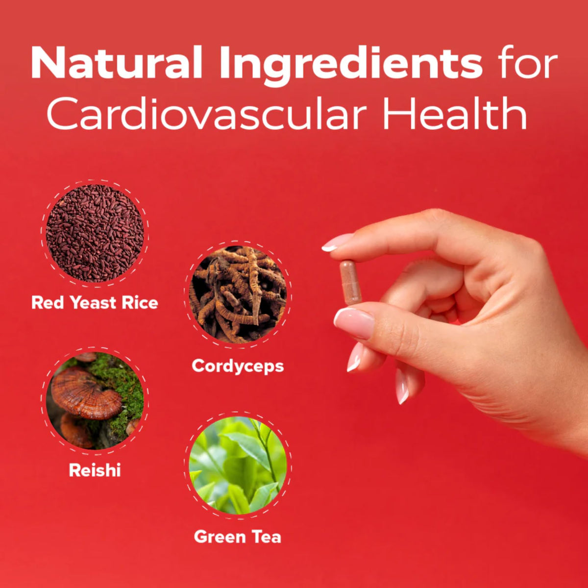 Redd Remedies Cholesterol Triple Care Heart Health Support - 60 Capsules - image 5
