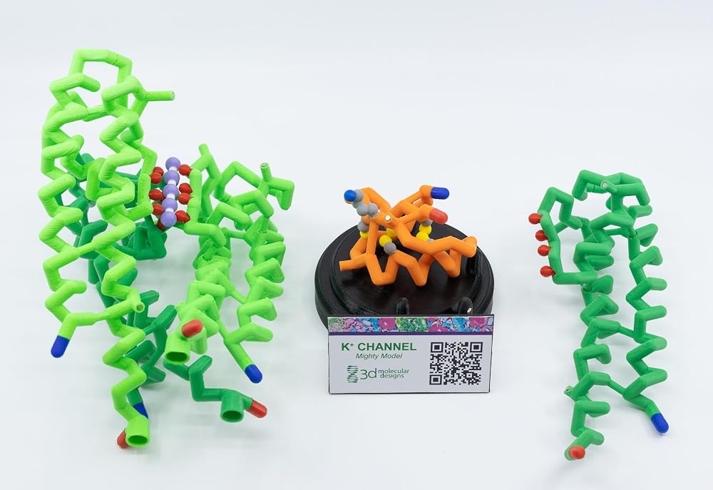 3D Molecular Designs Potassium Channel Mighty Model©