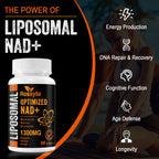 Rhameph Rossylla Liposomal NAD+ 1300 MG - 60 Capsules - image 5