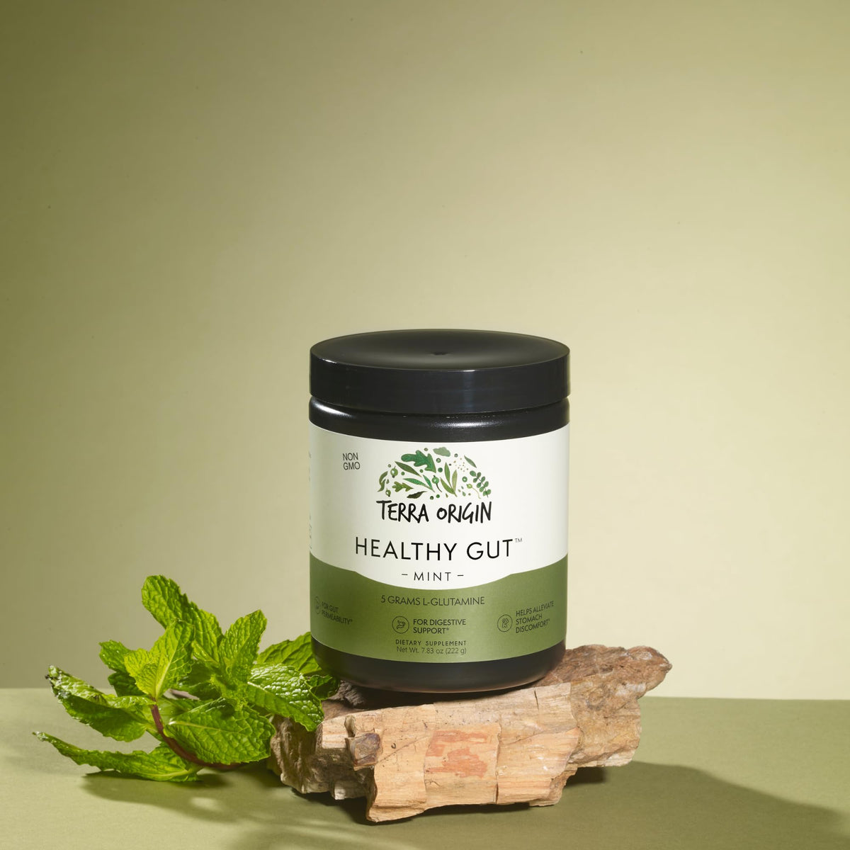 TERRA ORIGIN Healthy Gut with L-Glutamine