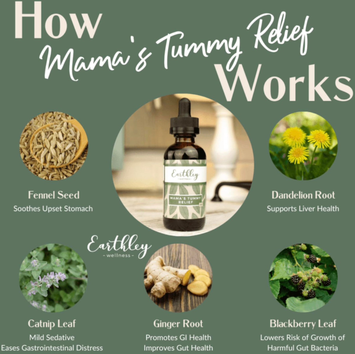 Earthley Mama's Tummy Relief Herbal Digestive Aid - 2 Fl Oz - image 3